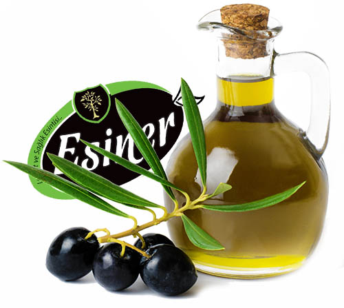 esiner_zeytin_z.yagi_gemlik